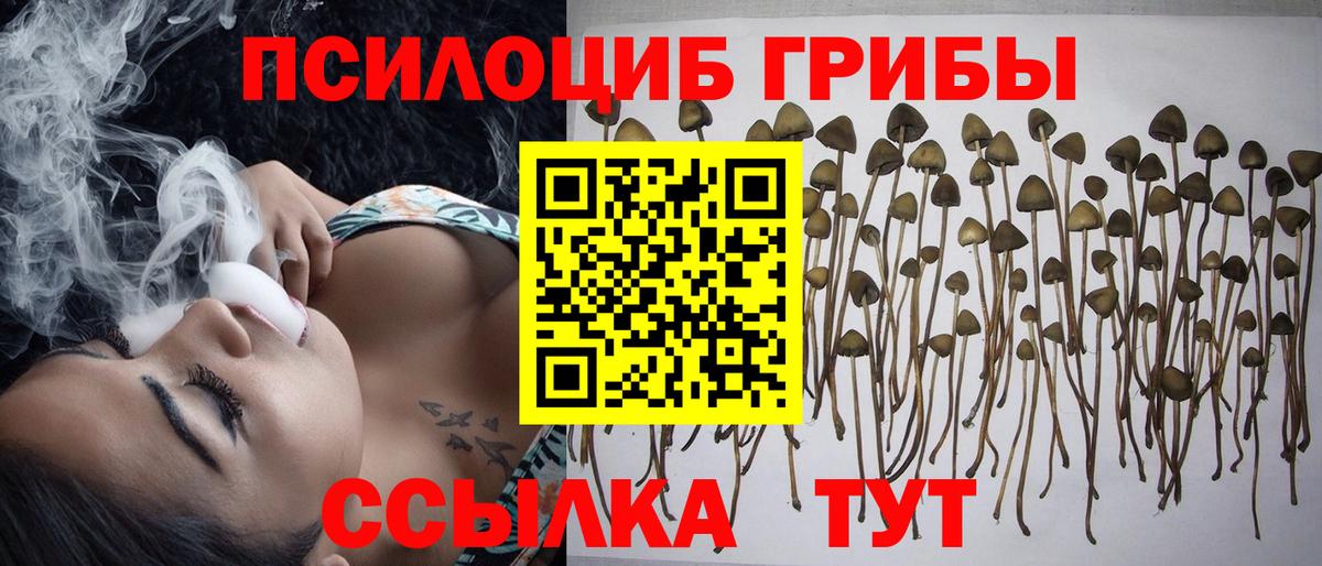 Нефтекамск  Псилоцибиновые грибы Psilocybe  Псилоцибиновые грибы GOLDEN TEACHER  Вход с VPN 